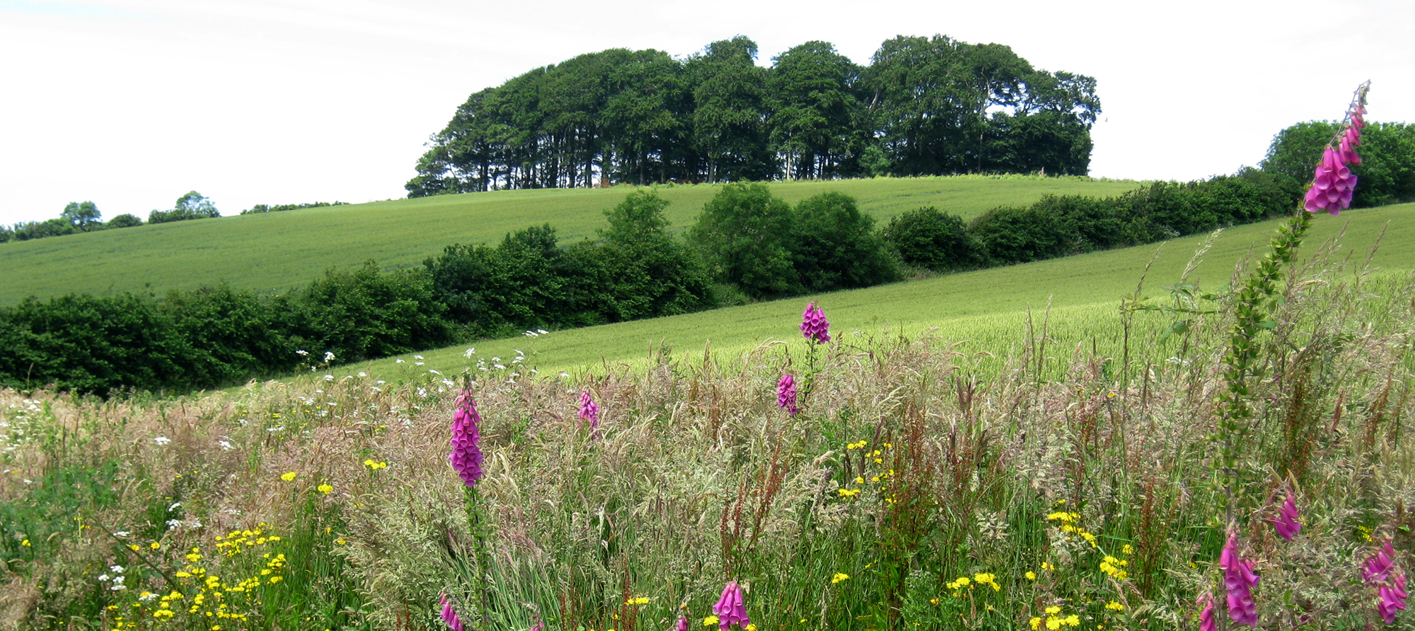 horse riding holidays in Devon