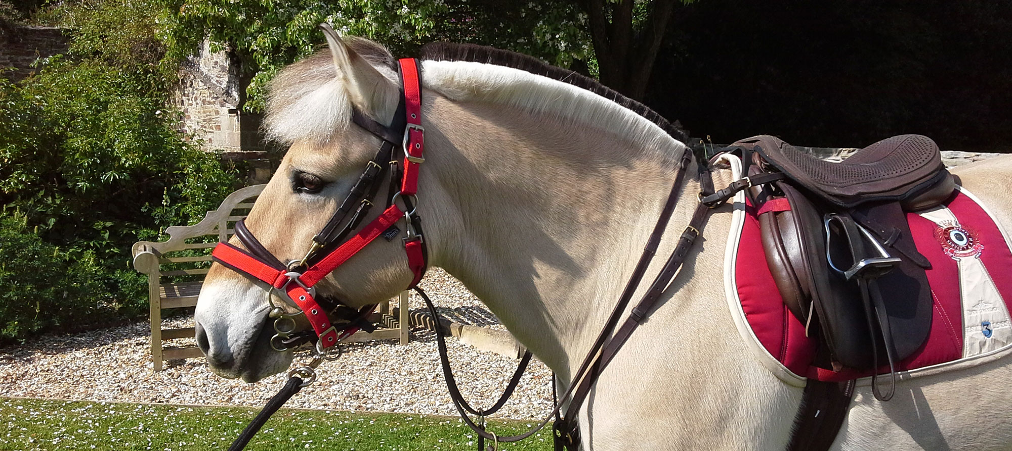 Hollamoor Farm livery yard